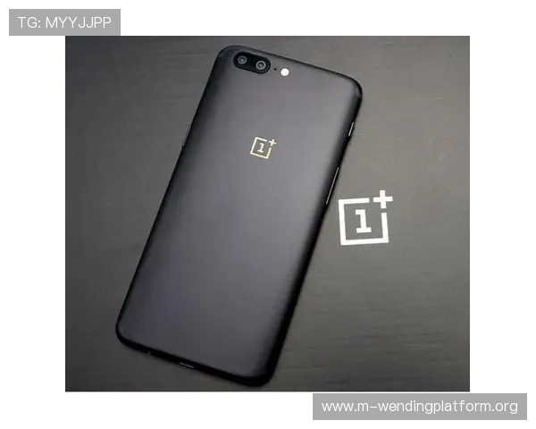 问鼎最新下载链接入口官方渠道推荐，确保每次下载都可靠无误