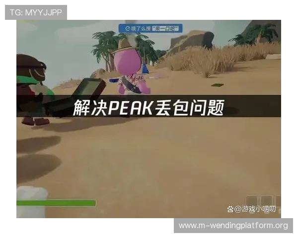 问鼎网页版入口6686玩家常见问题解答及解决方案全面提升游戏体验的实用指南